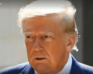 El presidente estadounidense Donald Trump elogia a Sheikh Mohamed bin Zayed como “un gran líder”