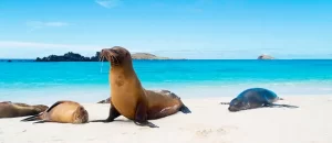 Las Islas Galápagos: El paraíso natural que inspira al mundo