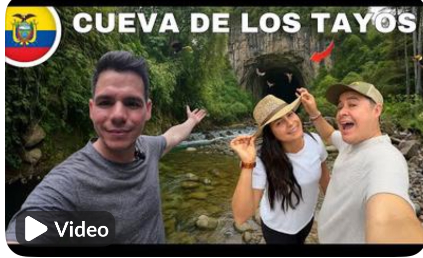 INTAG VALLEY’S SECRET PARADISE: OILBIRDS AND ORCHIDS LEAD ECUADOR’S CONSERVATION FRONTIER