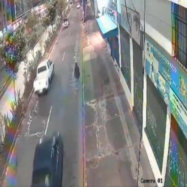 Cameras Capture Moment Pedestrian Was Hit by Bus on 10 de Agosto Avenue, North Quito