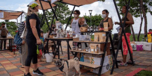 Guayaquil Dresses Up for the Holiday: Five Nearby Getaways for the November Break