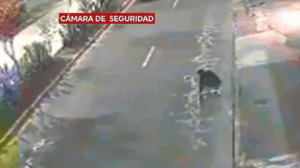 TRAGEDY UNDER THE LIGHTS: UNIVERSITY STUDENT FATALLY HIT BY BUS AFTER COLLAPSING ON QUITO'S 10 DE AGOSTO AVENUE