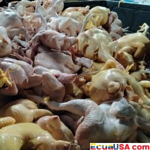 Behind Closed Doors: Two Illegal Poultry Slaughter Centers Shut Down in Calderón