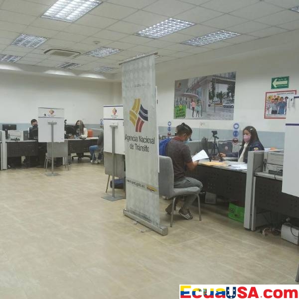 Colapso Digital en el ANT de Ecuador: Fallo del Sistema Provoca Frustración y Caos Nacional