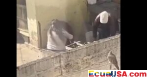 CUIDADOR DE CINCO PERROS MALTRATADOS EN EL INCA RECIBE MULTA HISTÓRICA, SENTANDO PRECEDENTE EN QUITO