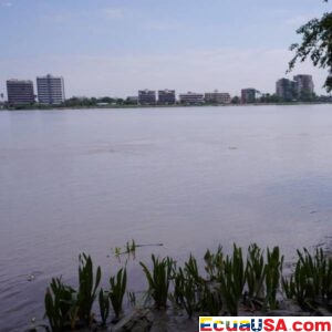 The Polluted Artery: Minister Manzano’s Ultimatum Triggers a High-Stakes Showdown Over the Daule River