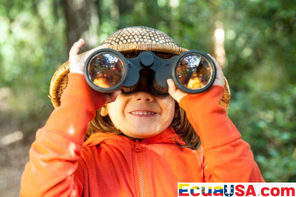 Road Trips Go Green: EVs and Carpooling Transform Travel Routes