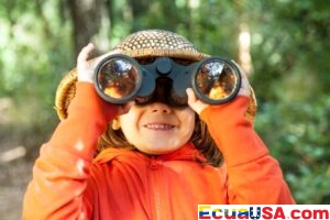 Road Trips Go Green: EVs and Carpooling Transform Travel Routes