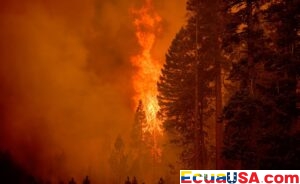 World on Track to Miss 2025 Paris Agreement Emissions Peak, UN Warns