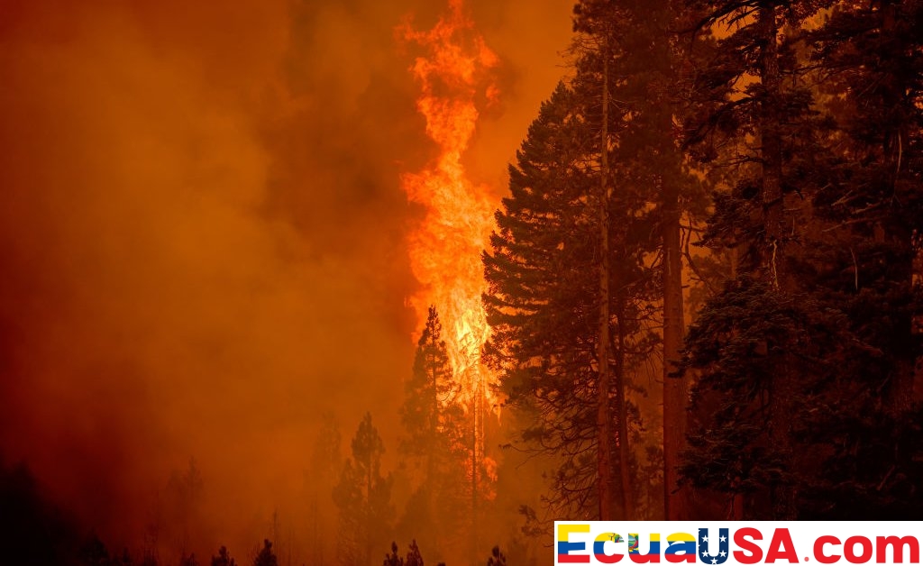 World on Track to Miss 2025 Paris Agreement Emissions Peak, UN Warns