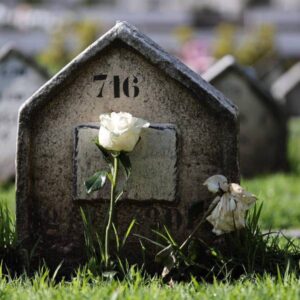 Después del COVID: Ecuador Enfrenta un Promedio Estable de 89,000 Muertes Anuales con una Doble Amenaza