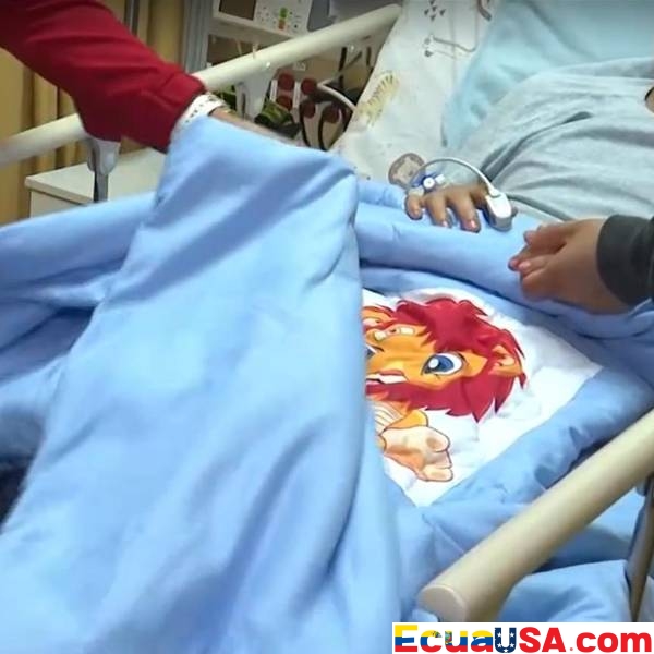 The Angelic Canine and the Mountain’s Embrace: Lucas Campaña’s Four Days of Survival on Punay