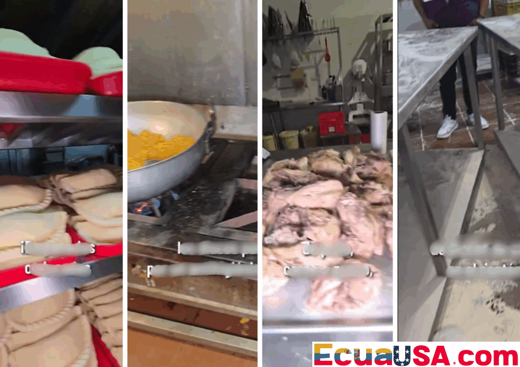 Food Safety Alert in Durán: Over 160,000 Empanada Discs Seized for Unsanitary Conditions