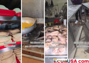 Food Safety Alert in Durán: Over 160,000 Empanada Discs Seized for Unsanitary Conditions