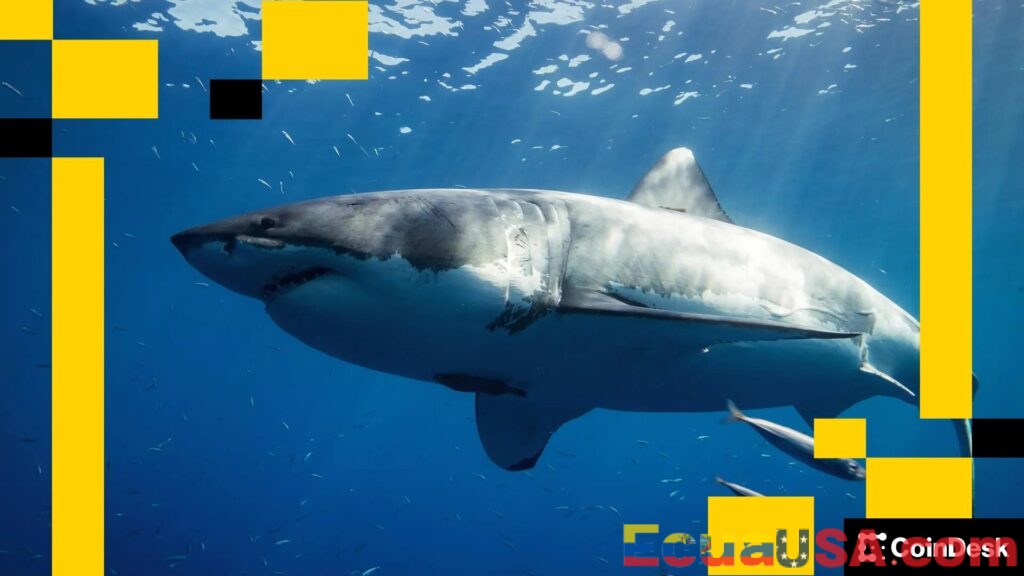 Estrategia de Supervivencia Cripto: Por Qué Ethereum Debe Innovar Sin Parar o Enfrentará la Extinción, Advierten Expertos