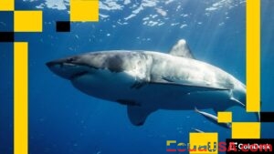 Estrategia de Supervivencia Cripto: Por Qué Ethereum Debe Innovar Sin Parar o Enfrentará la Extinción, Advierten Expertos