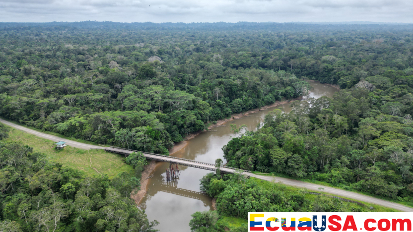 Yasunidos demanda al Gobierno ecuatoriano en la Corte Constitucional por operaciones petroleras en ITT