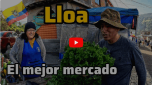 Lloa’s Hidden Treasure: The Secret Ecuadorian Market Where Organic Produce and Catsos Grubs Reign Supreme