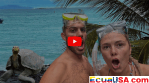 Crónica de Amor a Primera Vista: Islas Galápagos Reveladas como “Nuevo Lugar Favorito en la Tierra”