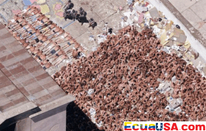 The Day the Blood Ran Down the Stairs: Carandiru Massacre’s Haunting Legacy