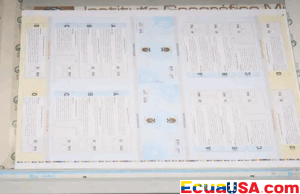 Markets on Edge: Investment Banks Warn About Ecuador’s Upcoming Referendum