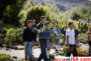 Latin America and Caribbean Make Progress in Reducing Hunger, Undernourishment Rates Fall