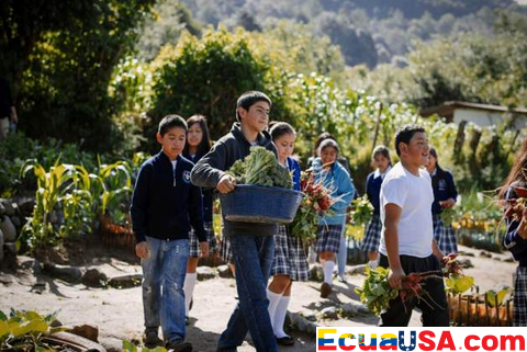 Latin America and Caribbean Make Progress in Reducing Hunger, Undernourishment Rates Fall