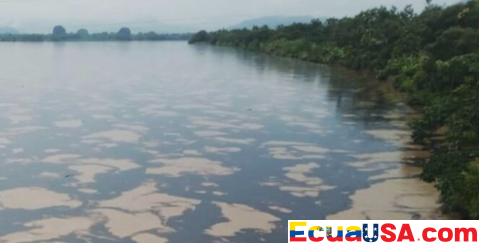 Derrame de Petróleo en Ecuador Devasta Refugio de Vida Silvestre de Manglares y Amenaza la Biodiversidad