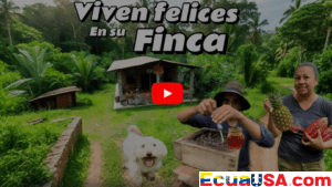 A SERENE COEXISTENCE: A COUPLE’S JOURNEY PROTECTING MELIPONA BEES IN THE JUNGLE