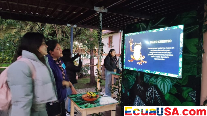 Relatos Crepusculares y Ranas Translúcidas: El Viaje de Ecuador a los Secretos Antiguos del Bosque Nublado