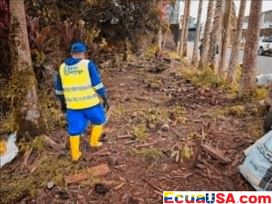 Estancamiento en la Basura: Concejo de Santo Domingo No Aprueba Nueva Tarifa de Recolección