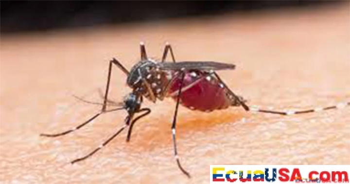 ECUADOR’S MALARIA FIGHT ADVANCES: ACTIVE FOCI IN AMAZON AND COASTAL NORTH, WITH MULTIPLE DISTRICTS ALREADY TRANSMISSION-FREE
