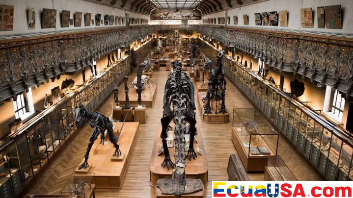 WOMAN CHARGED AFTER €1.5M GOLD HEIST AT PARIS NATURAL HISTORY MUSEUM