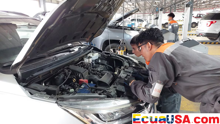 Guayaquil Races Against Time: November Is the Final Month to Register Vehicles Without Fines