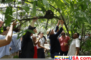 Brasil presenta en la COP30 un fondo ambicioso para la conservación de bosques
