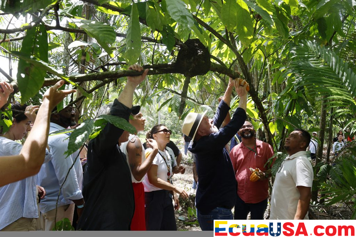 Brasil presenta en la COP30 un fondo ambicioso para la conservación de bosques