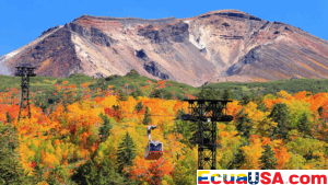 The Global Quest for Gold: Autumn’s Most Breathtaking International Stages