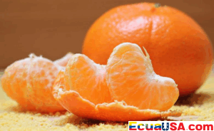 EL DUELO CÍTRICO Y TROPICAL: MANGO Y MANDARINA, LAS FRUTAS PROTAGONISTAS EN GUAYAQUIL