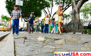When Nature Reclaims Its Space: Gigantic Roots Fissure the Tourist Heart of Guayaquil
