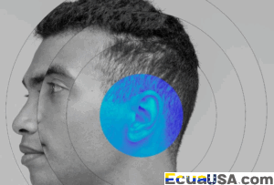 ¡Alerta Silenciosa en Ecuador! Los Sentidos como Centinelas de Vida y SaludCrónica de la Detección Temprana que Salva Cuerpos y Mentes