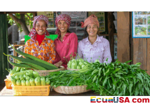 Global Leaders Convene in Doha for Second World Summit on Social Development