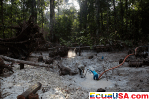 Operación Madre Tierra VII: 225 Arrestos en América Latina en Importante Operación de Interpol