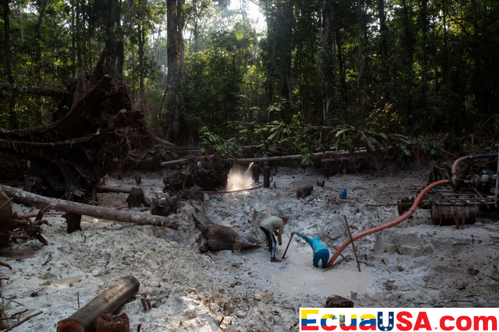 Operación Madre Tierra VII: 225 Arrestos en América Latina en Importante Operación de Interpol