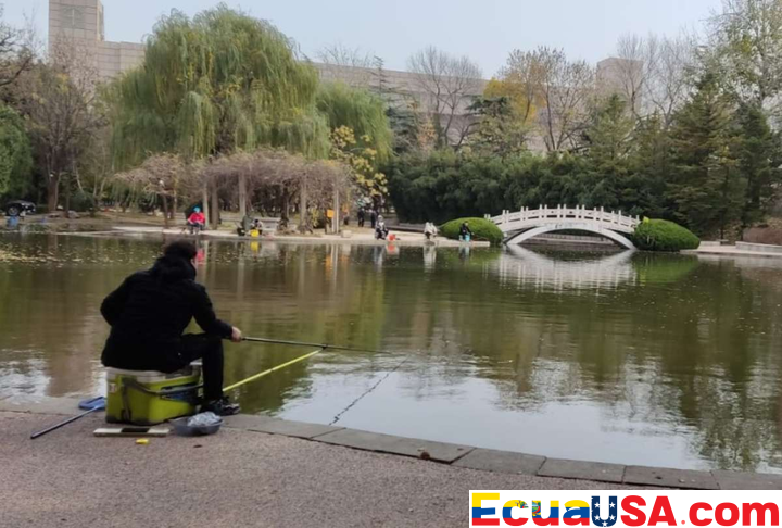 Shandong, Tierra de Sabiduría Viva: El Viaje Duradero del Legado de Confucio