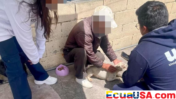 Multa histórica para hombre que maltrató a cinco perros en Quito