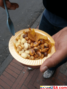 Beyond the Ballot: Flavours, Laminates and Rituals of Election Day