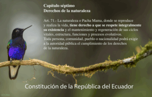 LA NATURALEZA TIENE DERECHOS, NO AMENAZAS: EL HITO CONSTITUCIONAL DEL ECUADOR Y EL PELIGRO EN LAS URNAS