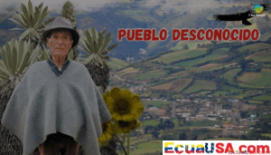 EL ÁNGEL: A JOURNEY TO THE PARADISE OF THE FRAILEJONES, TOUCHING THE SKY OF ECUADOR!