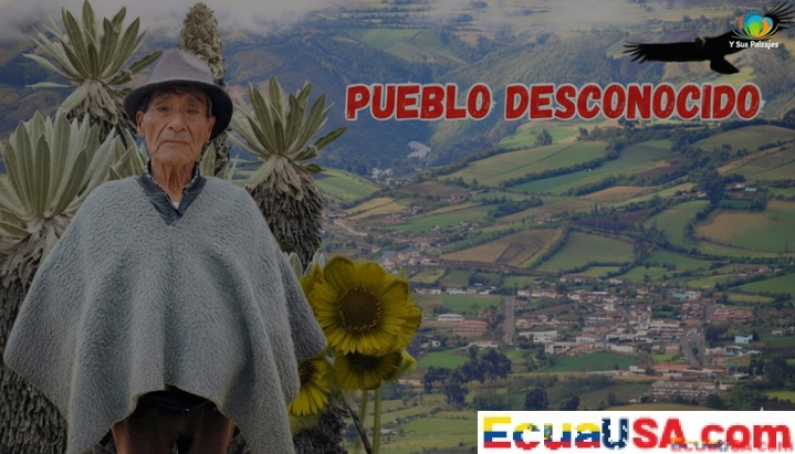 EL ÁNGEL: A JOURNEY TO THE PARADISE OF THE FRAILEJONES, TOUCHING THE SKY OF ECUADOR!