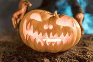 FBI Prevents “Potential Terrorist Attack” on Halloween, Arrests Multiple Suspects in Michigan